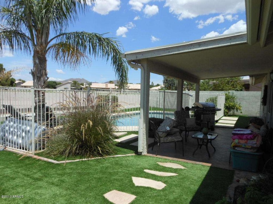 Backyard Oasis