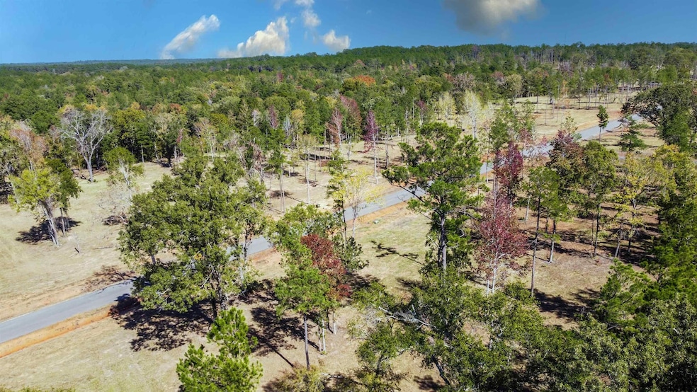 15537 Aniston Ln, Flint, TX 75762 - photo 1