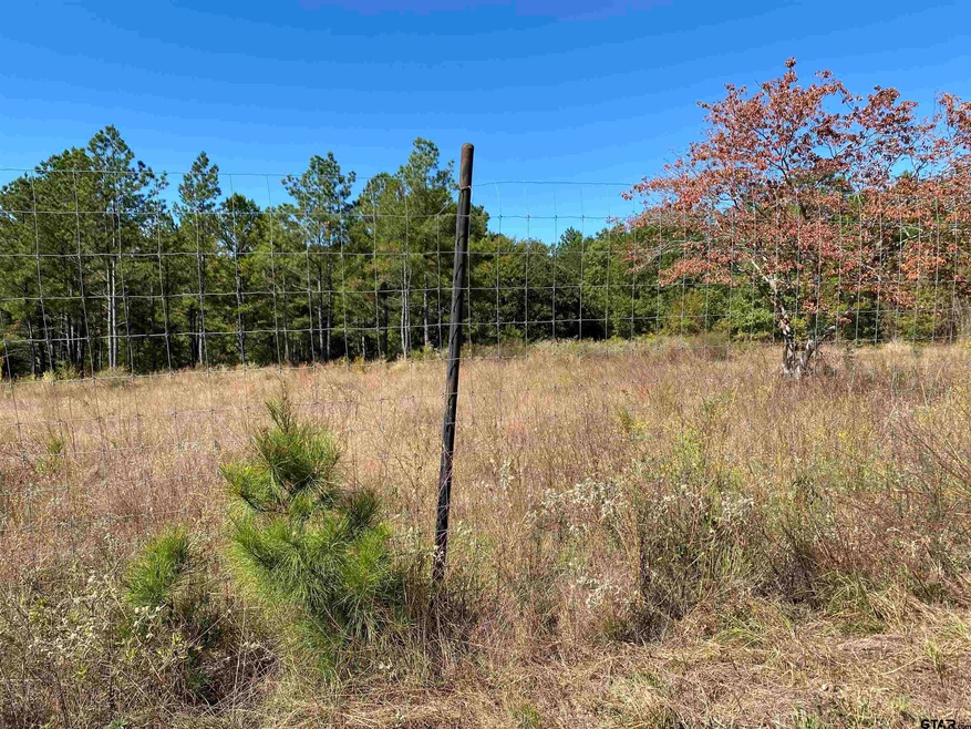 10982 10982 Cr 233, Arp, TX 75750 - photo 1