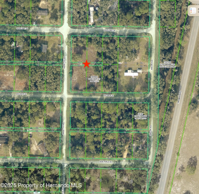 0 Goolsby St unit 2254412, Webster, FL 33597 - photo 1