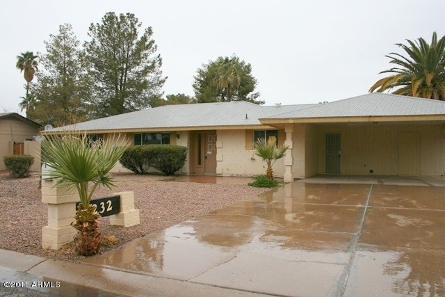 Front view
