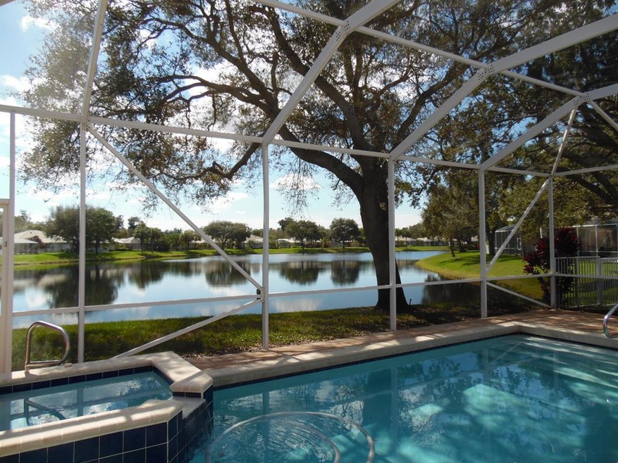 view from pool and spa