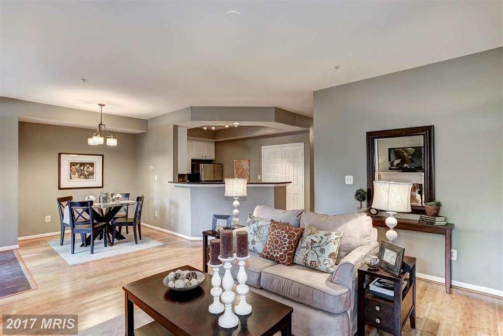 1313 Garden Wall Ct unit 808, Reston, VA 20194 - photo 1