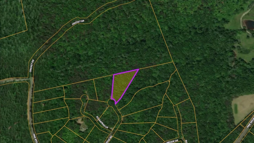 0 Buttonwood Rd unit 25554474, Connelly Springs, NC 28612 - photo 1