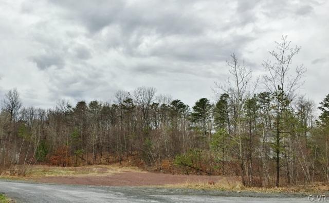 12 Buffalo Ln, Chestnuthill Township, PA 18353 - photo 1