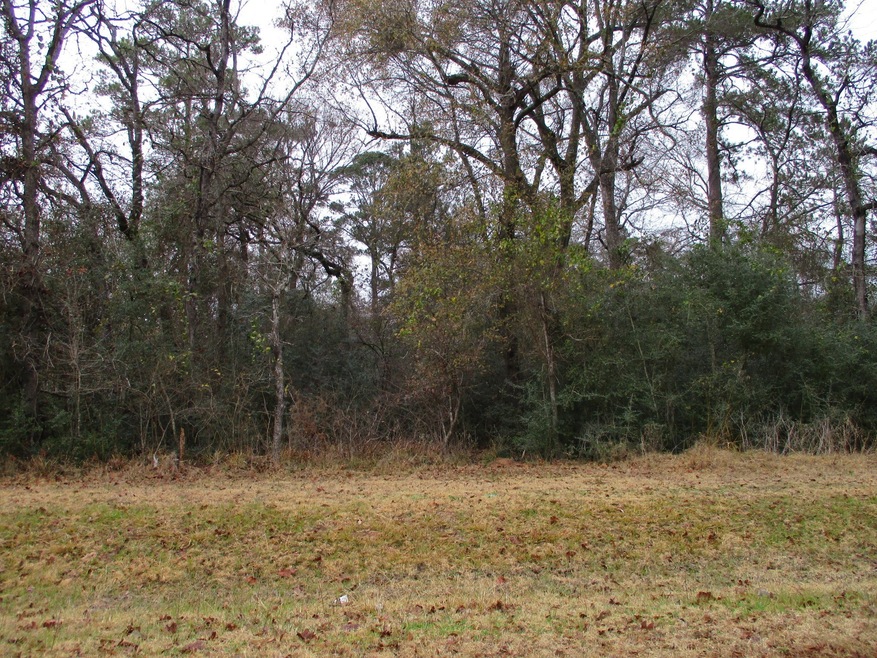 Lot 63 Willow Creek Rd, Hockley, TX 77447 - photo 1