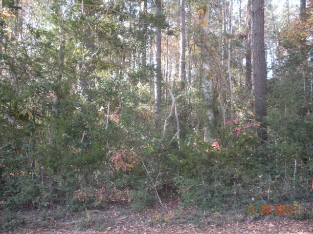 000 Horton Hollow Dr, Lufkin, TX 75904 - photo 1