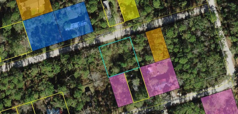 61 Quapaw St, Crawfordville, FL 32327 - photo 1