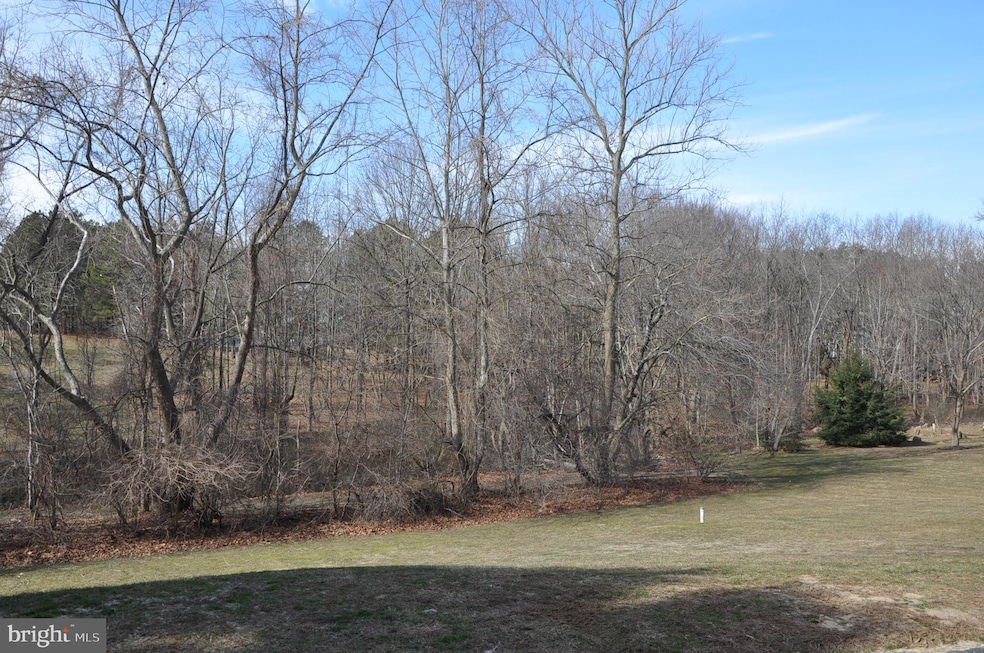 1037 Sugar Maple Dr, Davidsonville, MD 21035 - photo 1