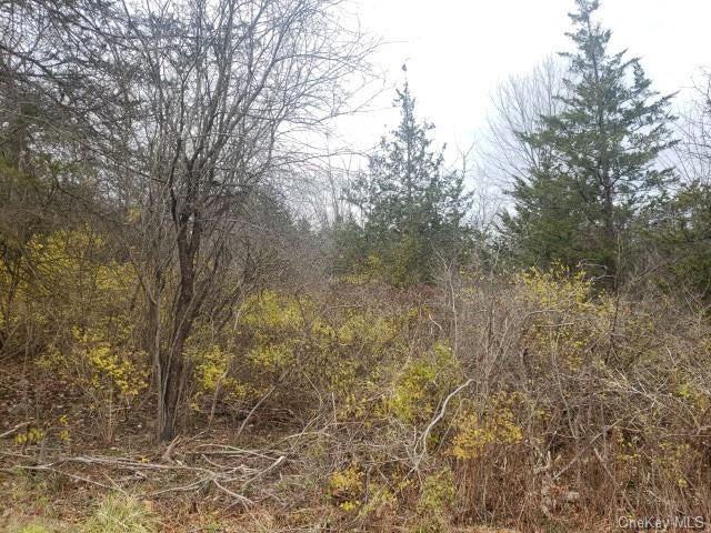 Sold $500,000 • Co-Listing Agent