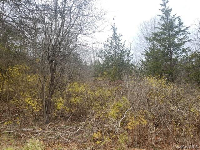 0 Lake Station Rd unit H6155647, Warwick, NY 10990 - photo 1