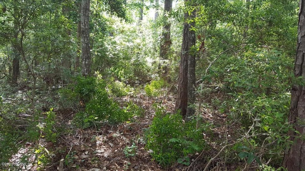 Shell Point Wooded Lot