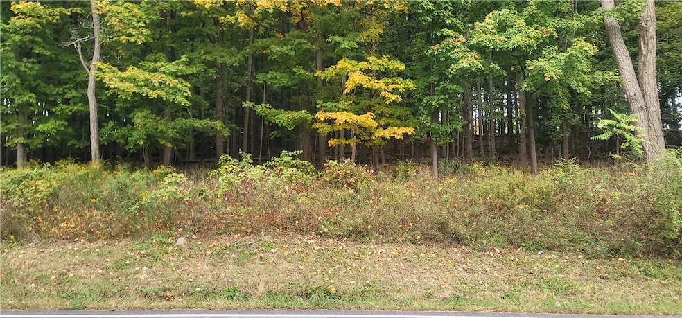 Lot 1 Bethlehem Rd, New Windsor, NY 12553 - photo 1