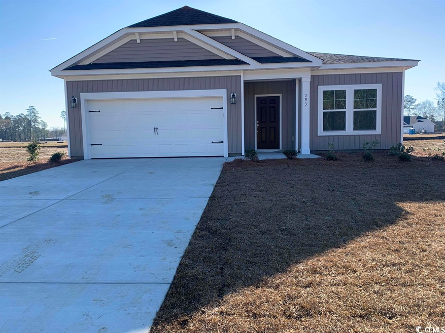 293 Palmetto Sand Loop unit Lot 58 Model Talbot, Conway, SC 29527 - photo 1