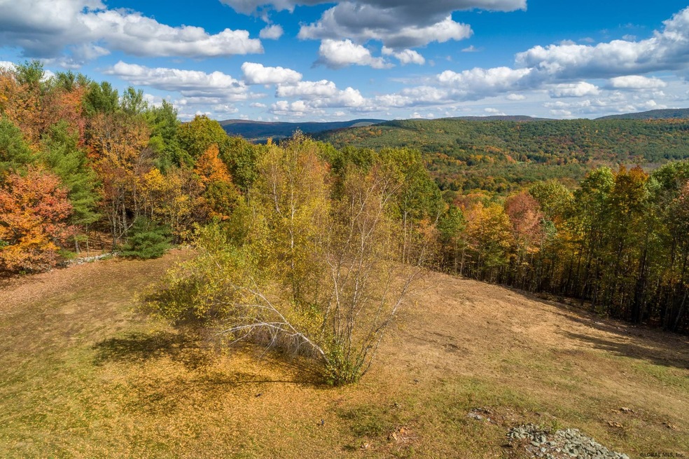 0 Deer Ridge Rd unit 202030495, Chatham, NY 12060 - photo 1
