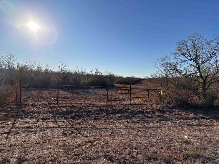 0 Fm 716 unit 20255318, Realtitos, TX 78376 - photo 1