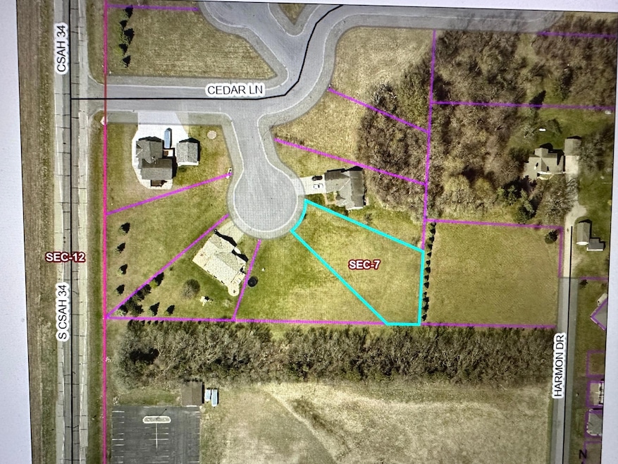 1402 Cedar Ln, Litchfield, MN 55355 - photo 1