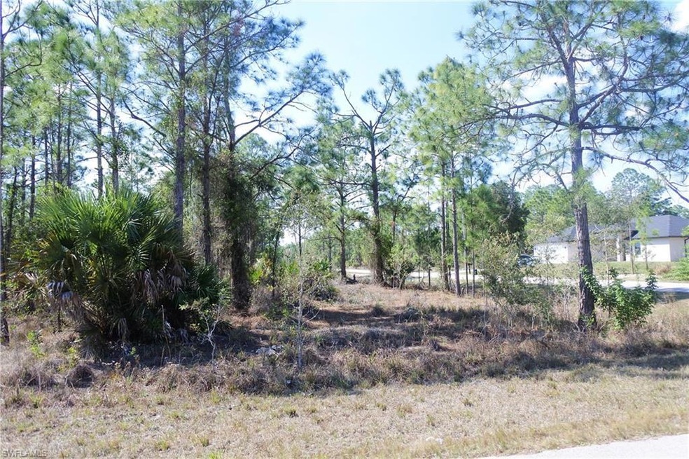 828 Oakridge Ave S, Lehigh Acres, FL 33974 - photo 1