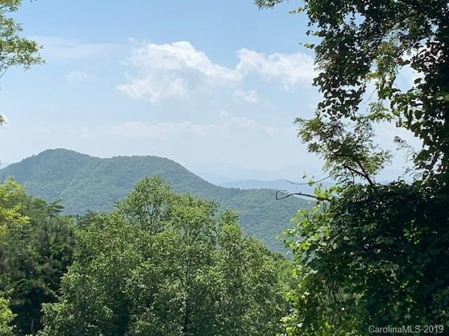 581 Old Newfound Rd unit 1, Leicester, NC 28748 - photo 1