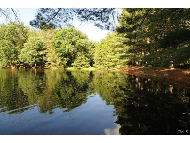 Turtle Pond setting for this magnificent home!