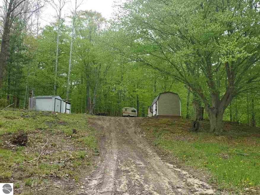 00 E Forest Trail, Leroy, MI 49655 - photo 1