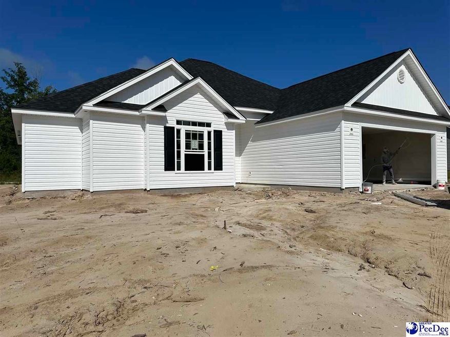 498 Cane Branch Rd, Loris, SC 29569 - photo 1