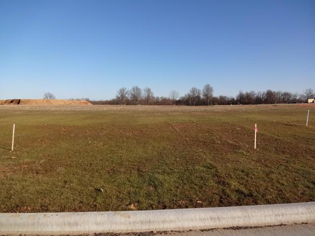 835 E Abbey Ct, Nixa, MO 65714 - photo 1