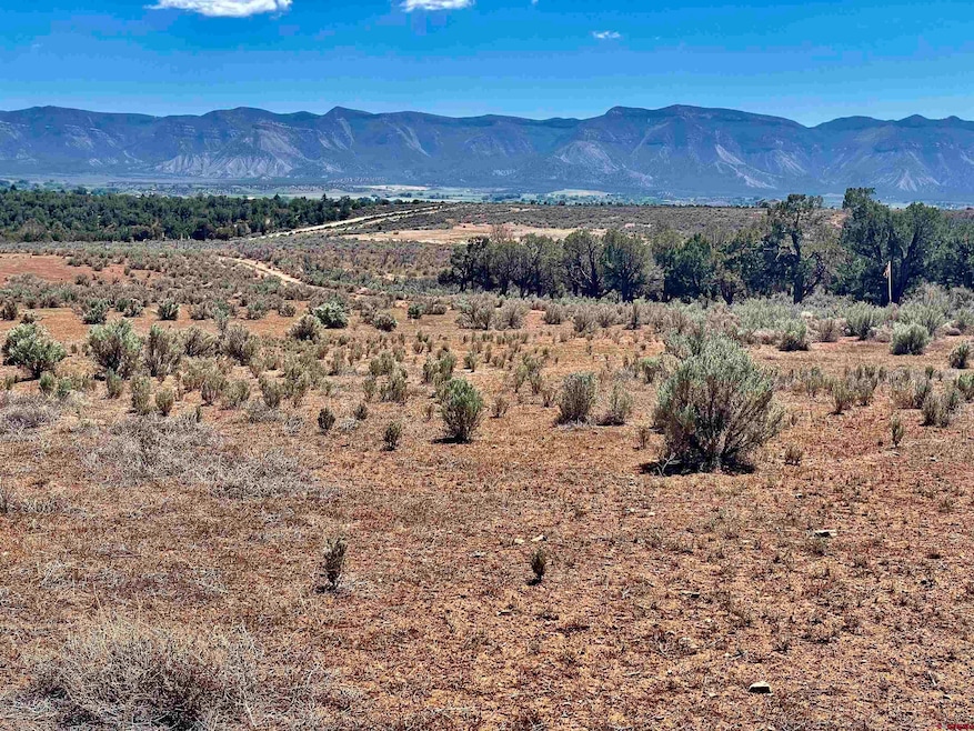 Tract 4 Road K 3, Cortez, CO 81321 - photo 1