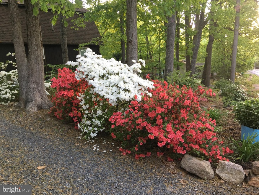 151 Harrison Cir, Locust Grove, VA 22508 - photo 1