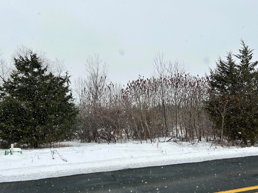 1614 66th St, Fennville, MI 49408 - photo 1