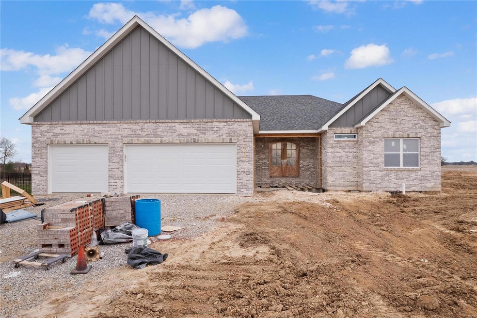 1004 Torrey Ln, Freeburg, IL 62243 - photo 1