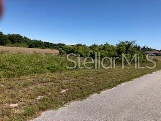 1712 Jackson Ave, Lehigh Acres, FL 33972 - photo 1