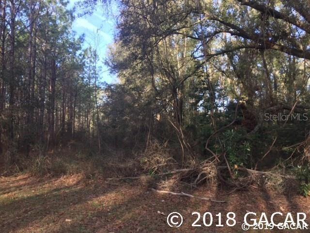 345 SW Nice Ct, Ft. White, FL 32038 - photo 1