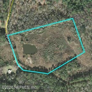 0 Spring Dr unit 1053118, Middleburg, FL 32068 - photo 1