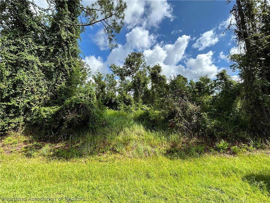 7604 Ancha St, Sebring, FL 33872 - photo 1