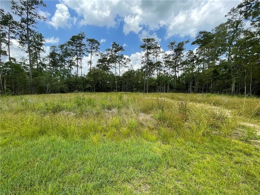 0 Brandon Dr, Slidell, LA 70461 - photo 1