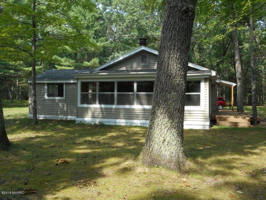 6582 W Pine Crest Dr, Baldwin, MI 49304 - photo 1