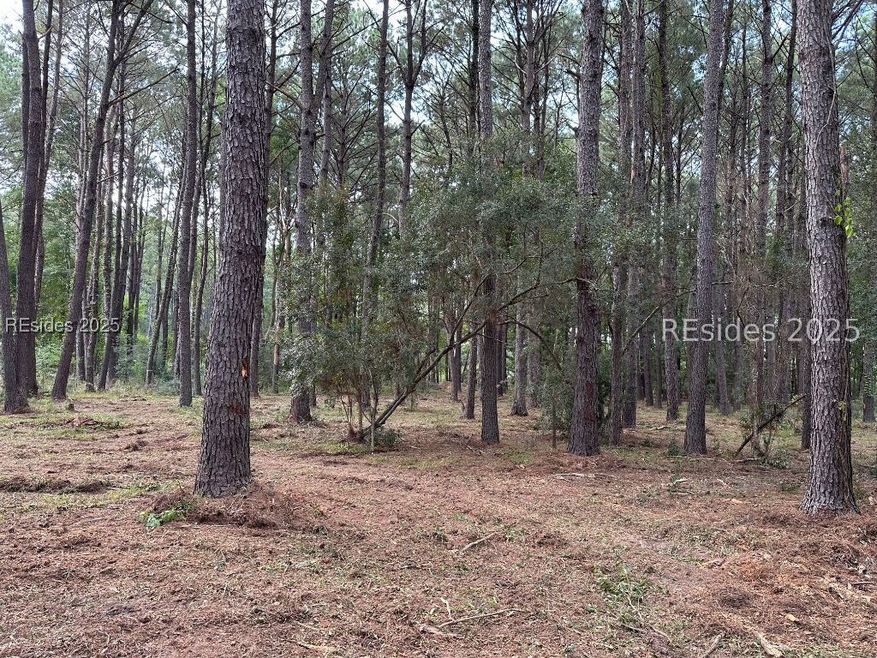 464 Paige Point Bluff, Seabrook, SC 29940 - photo 1