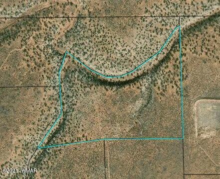 County Image