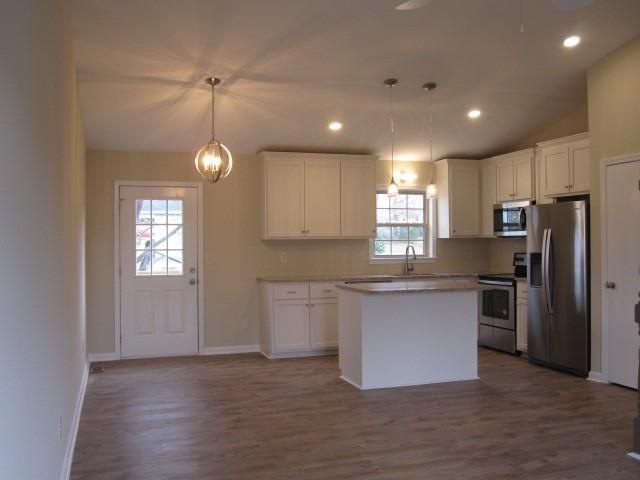 Completely updated kitchen. Luxury vinyl flooring,