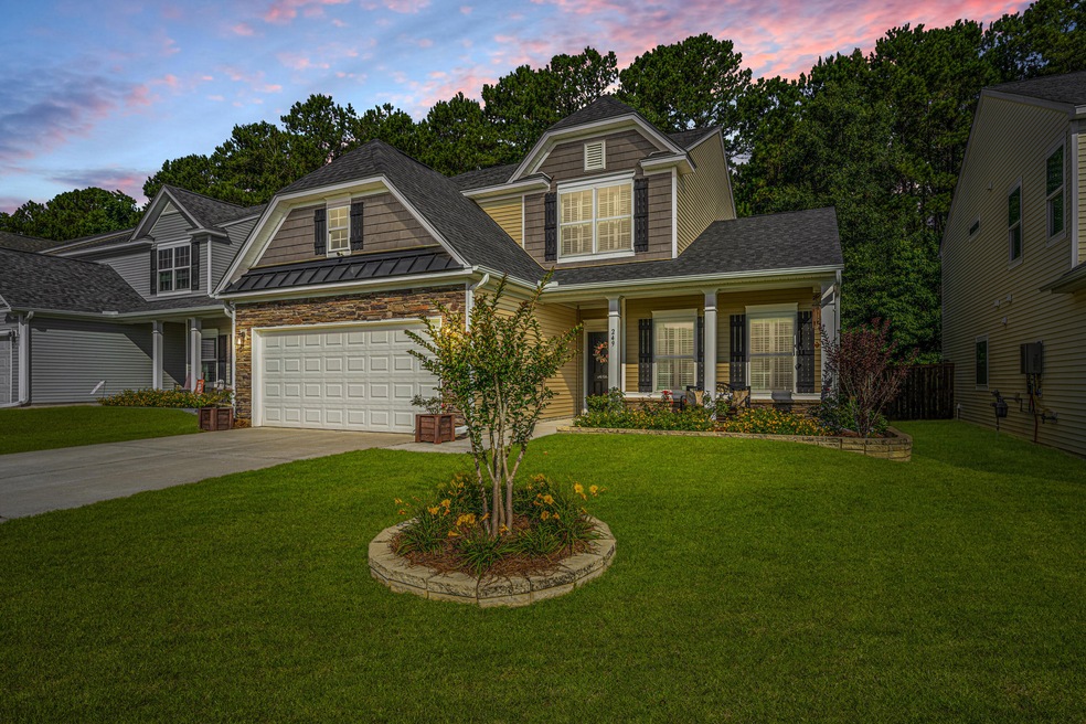 249WeepingCypress001 (1)