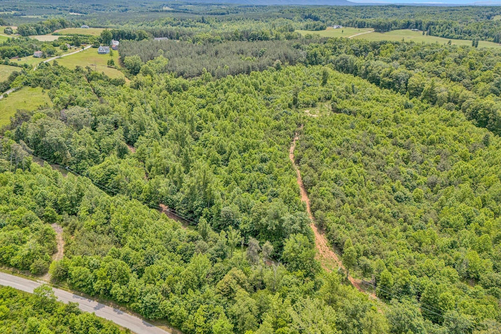 01-DJI_20250602133521_0037