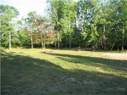 Gentle slope to build your dream home on