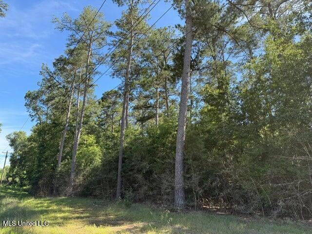 2 Acres U S 49, Collins, MS 39428 - photo 1
