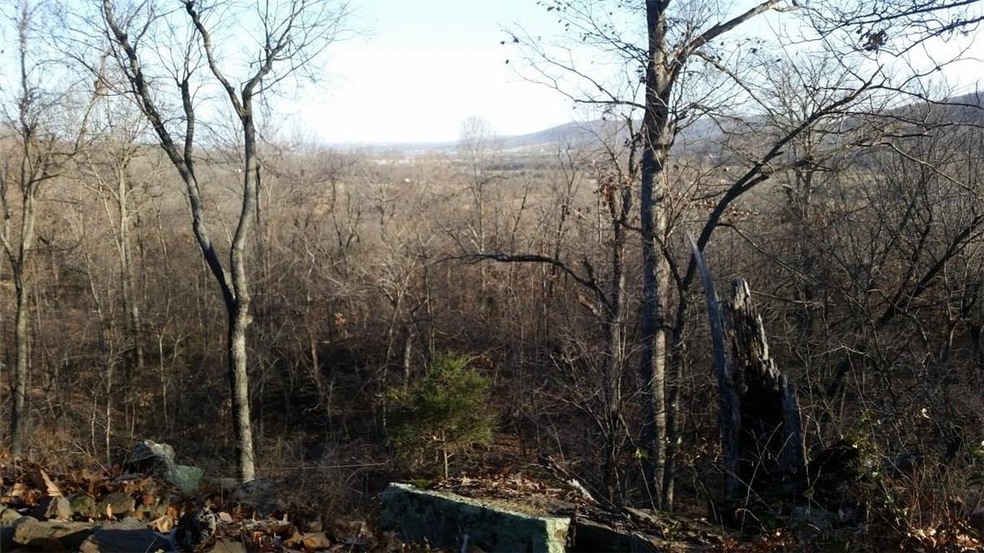 TBD (86 ac mol) Pine Tree Rd, Prairie Grove, AR 72753 - photo 1