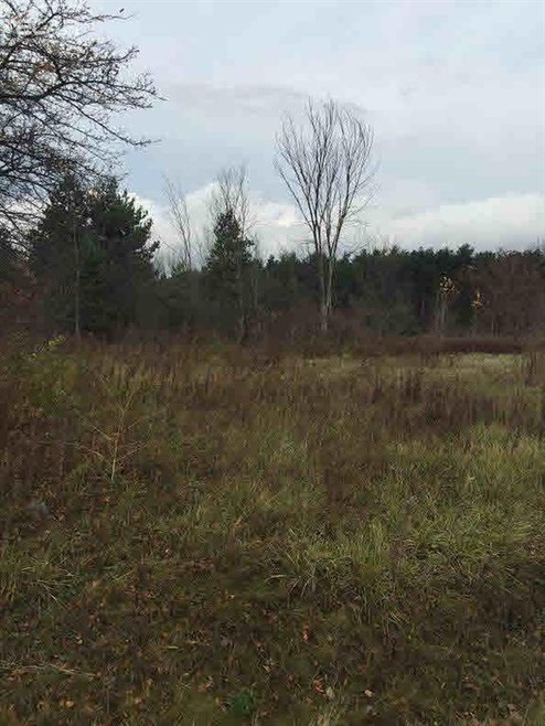 0 W Farrand Rd unit 30042792, Clio, MI 48420 - photo 1