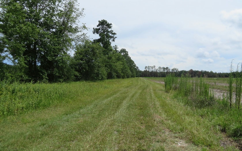 0 SE Family Rd unit 91064, Lake City, FL 32025 - photo 1