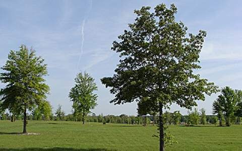 0 Mandiba Dr unit 89781, Lake City, FL 32024 - photo 1