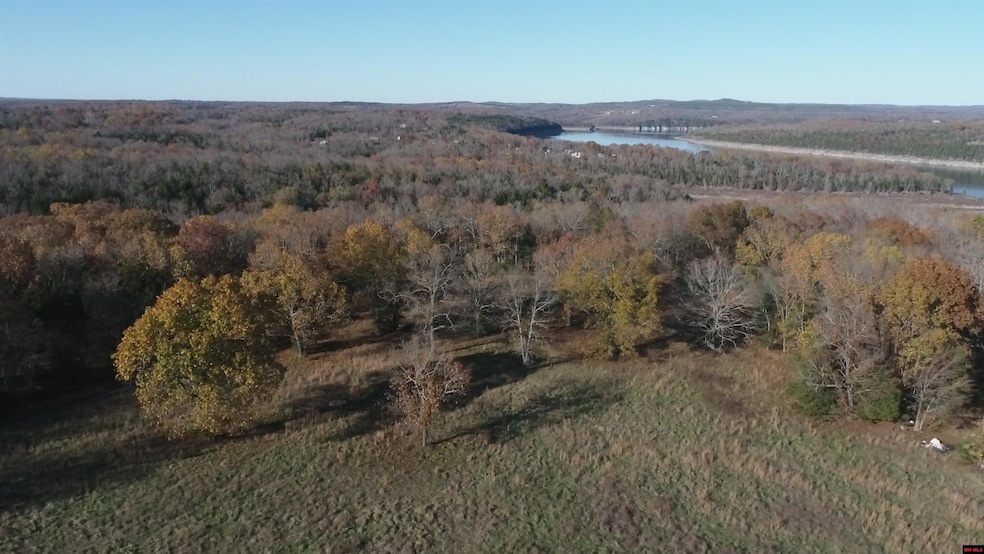Tract 13 Timber Shoals Rd, Cedar Creek, MO 65627 - photo 1