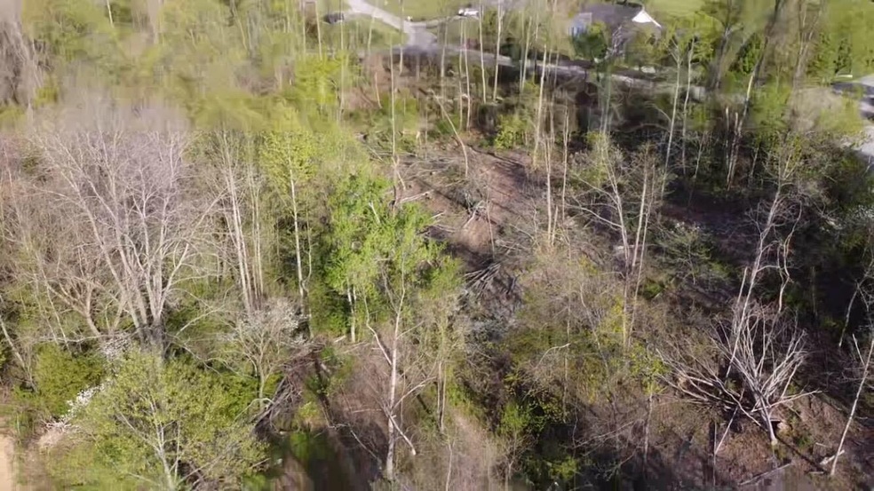 482F46E7-93ED-4B60-A4EA-B74E9CCAE588